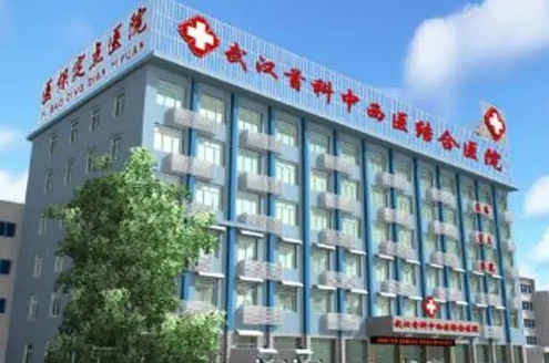 武漢市中西醫(yī)結(jié)合醫(yī)院.jpg