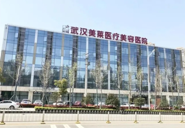 武漢美萊醫(yī)療美容醫(yī)院.png 武漢美萊醫(yī)療美容醫(yī)院.png