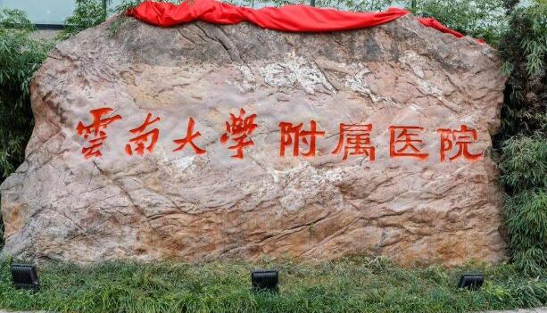 云南大學附屬醫(yī)院.jpg